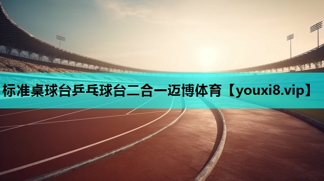 标准桌球台乒乓球台二合一迈博体育
