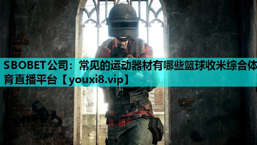 SBOBET公司：常见的运动器材有哪些篮球收米综合体育直播平台