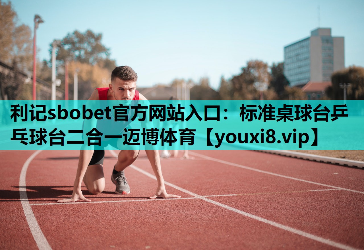 利记sbobet官方网站入口：标准桌球台乒乓球台二合一迈博体育