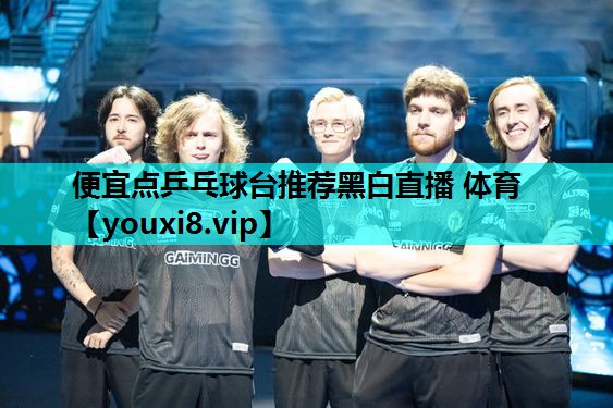 便宜点乒乓球台推荐黑白直播 体育