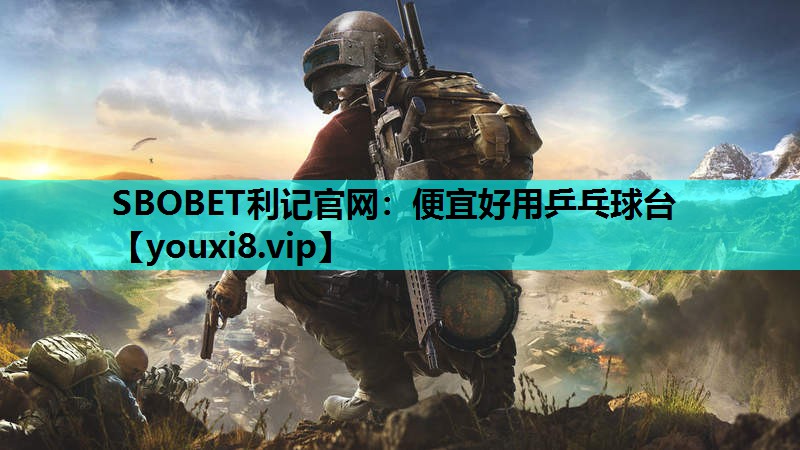 便宜好用乒乓球台