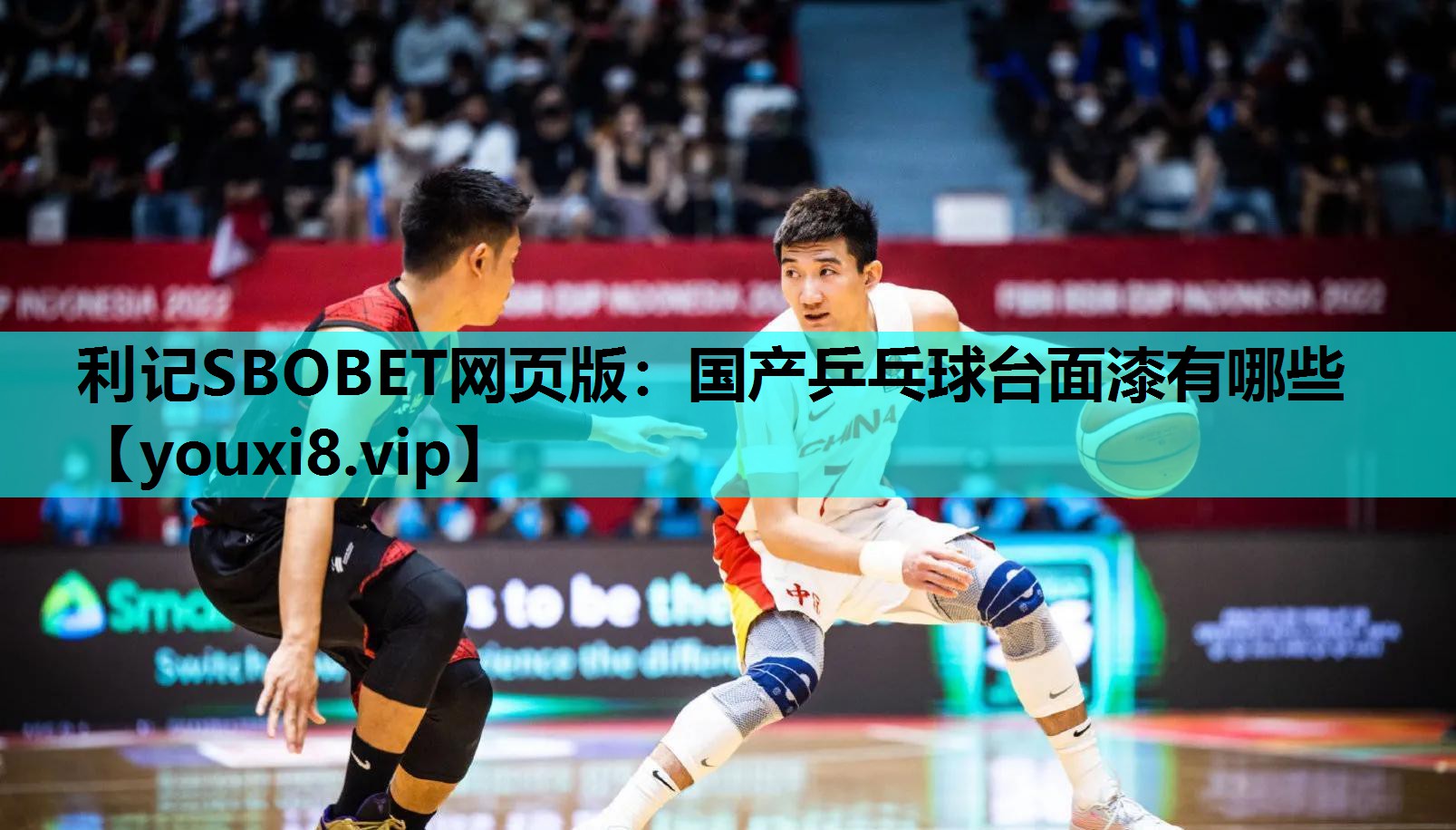 国产乒乓球台面漆有哪些