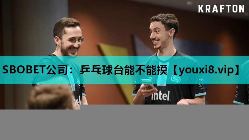 乒乓球台能不能摸