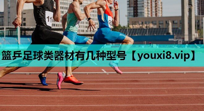 篮乒足球类器材有几种型号