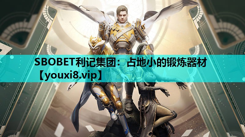 占地小的锻炼器材