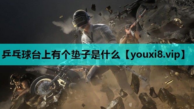 乒乓球台上有个垫子是什么